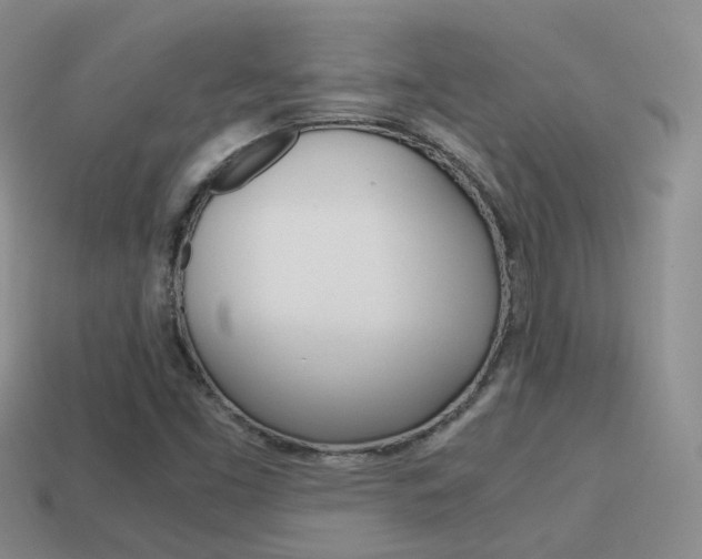X0000115601453200911100942