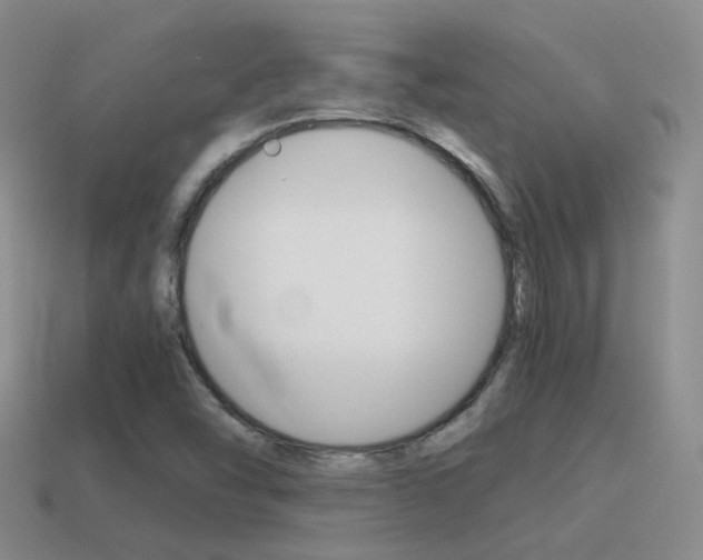X0000115601454200911100942