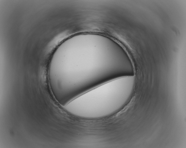 X0000115601455200911100942