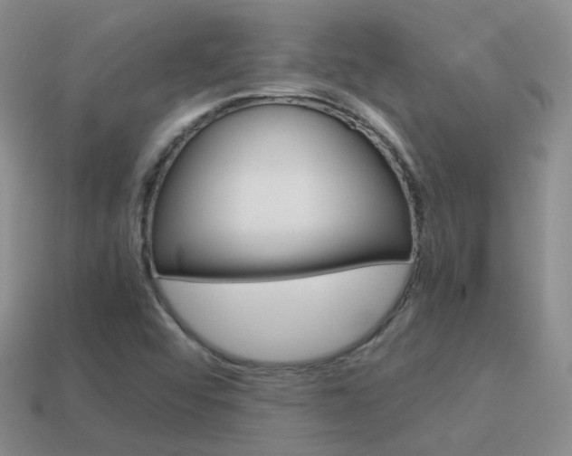 X0000115601456200911100942