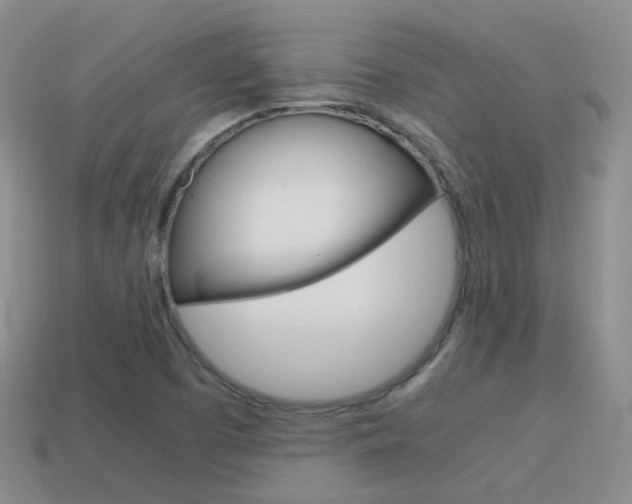 X0000115601457200911100942