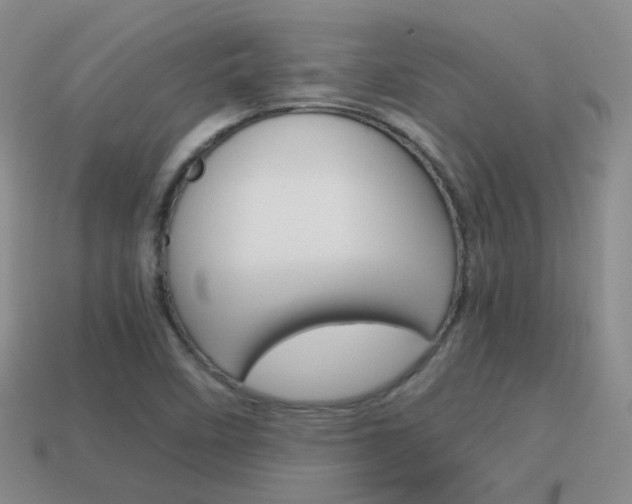 X0000115601458200911100942