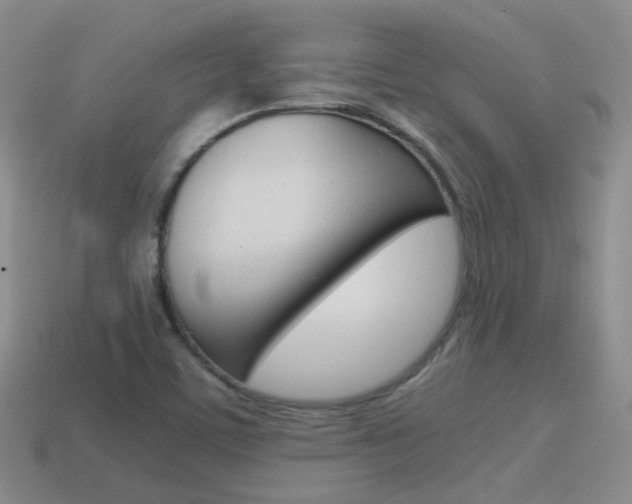 X0000115601459200911100942