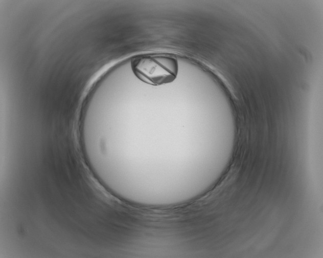 X0000115601460200911100942