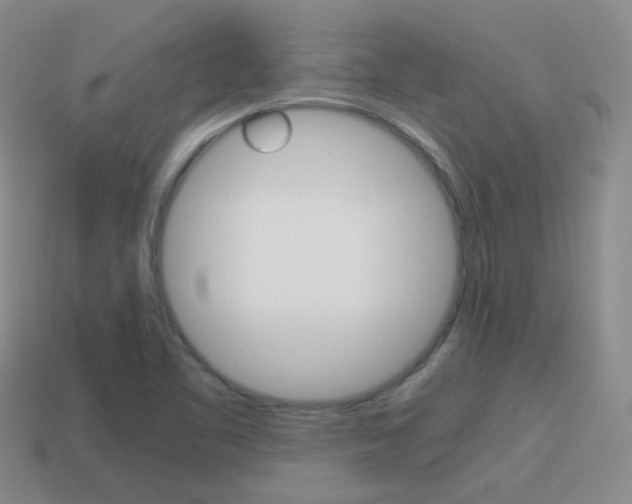 X0000115601461200911100942