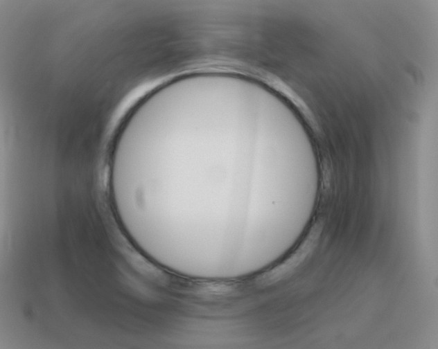 X0000115601462200911100942