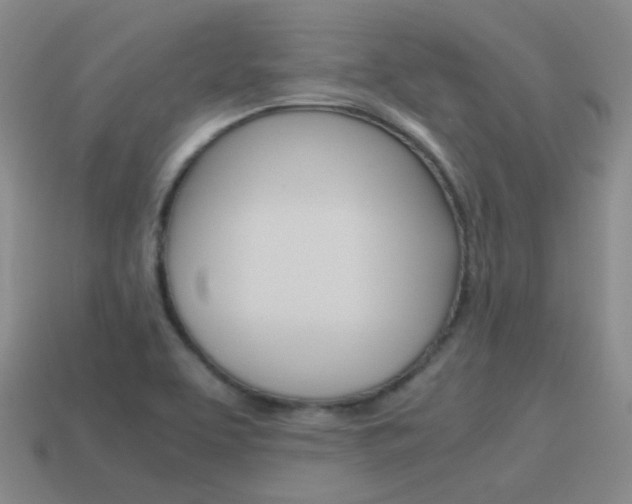 X0000115601463200911100942