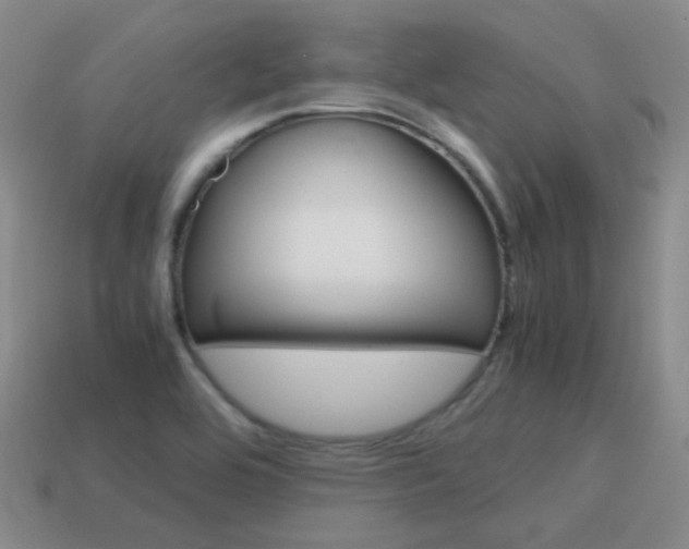 X0000115601464200911100942