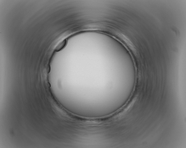 X0000115601465200911100942