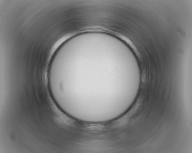 X0000115601466200911100942