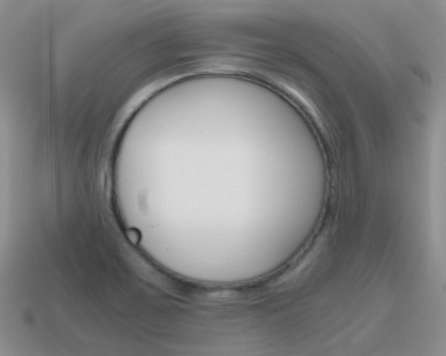 X0000115601467200911100942
