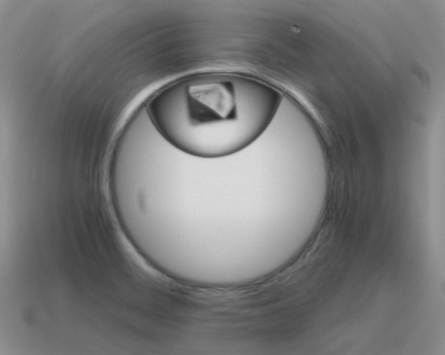 X0000115601468200911100942