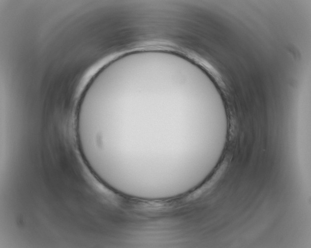 X0000115601470200911100942