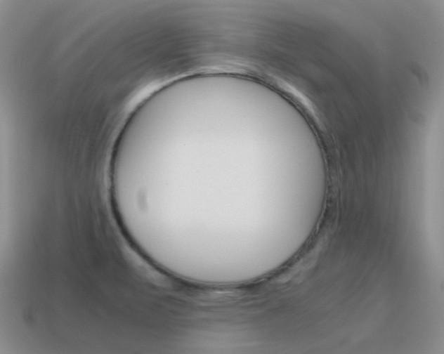 X0000115601471200911100942
