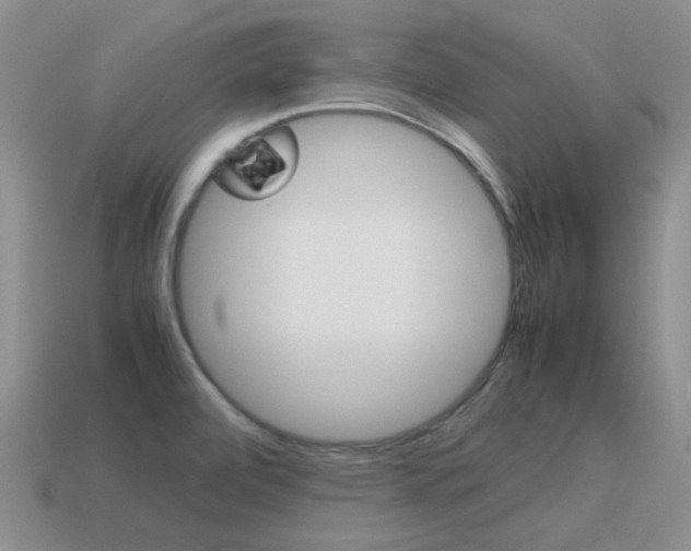 X0000115601472200911100941