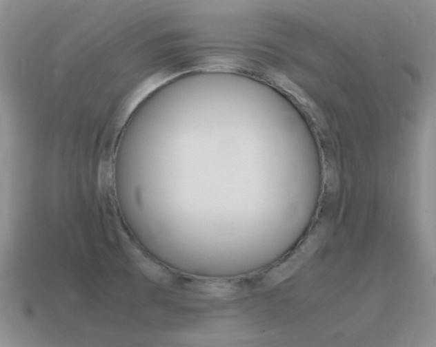 X0000115601473200911100941