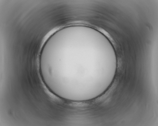 X0000115601474200911100941