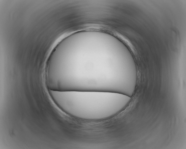 X0000115601475200911100941