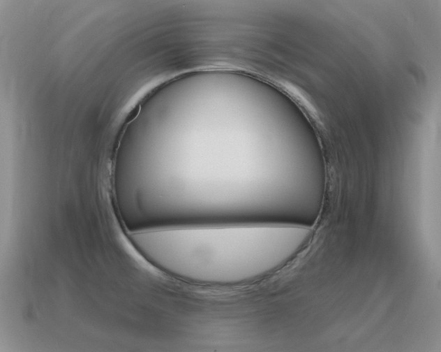 X0000115601476200911100941