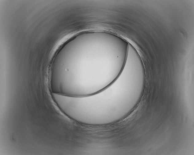 X0000115601477200911100941