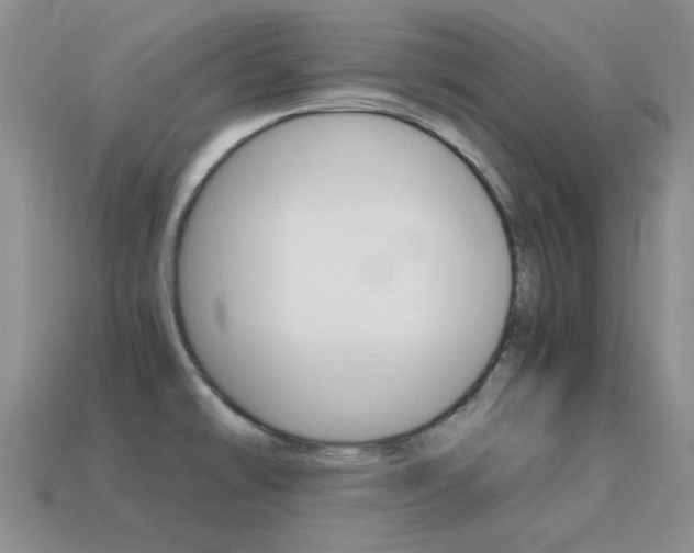 X0000115601478200911100941