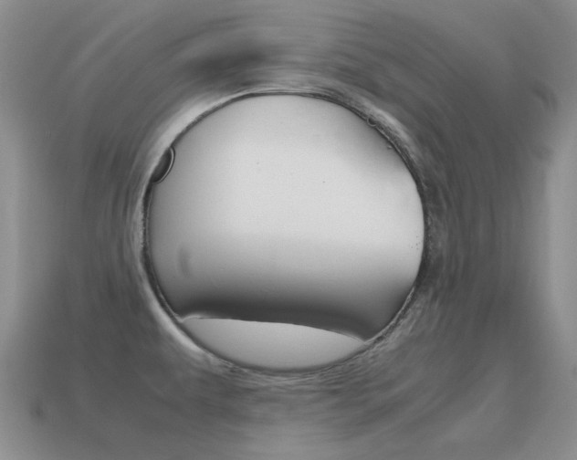 X0000115601479200911100941