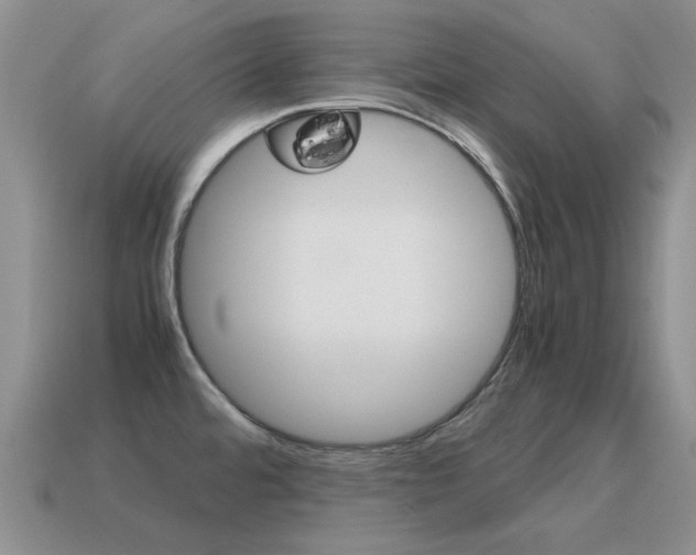 X0000115601480200911100941