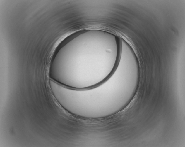 X0000115601481200911100941