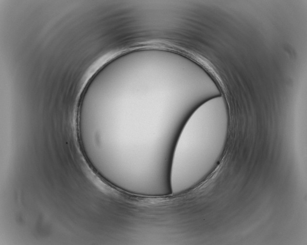X0000115601482200911100941