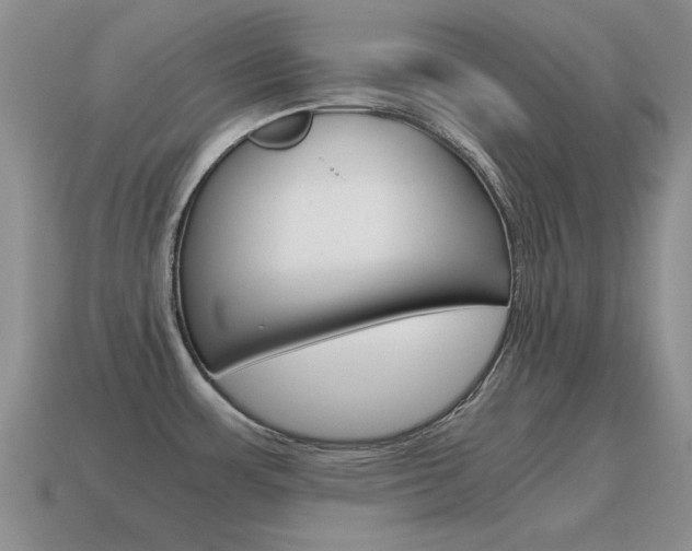 X0000115601483200911100941