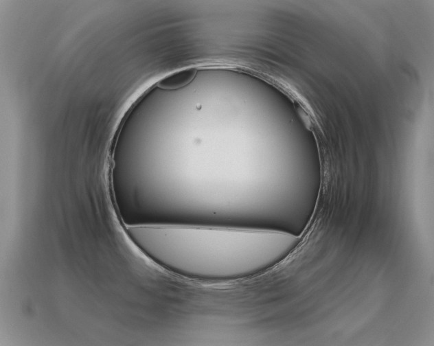 X0000115601484200911100941