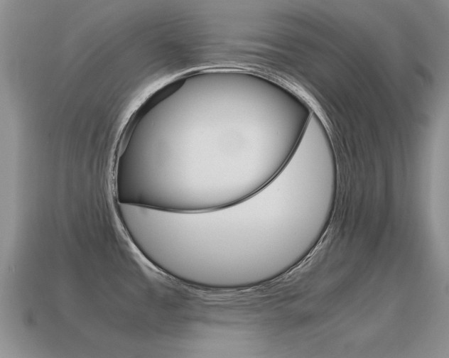 X0000115601485200911100941