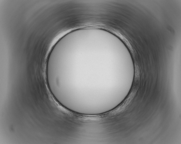 X0000115601486200911100941