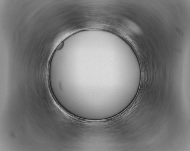 X0000115601487200911100941