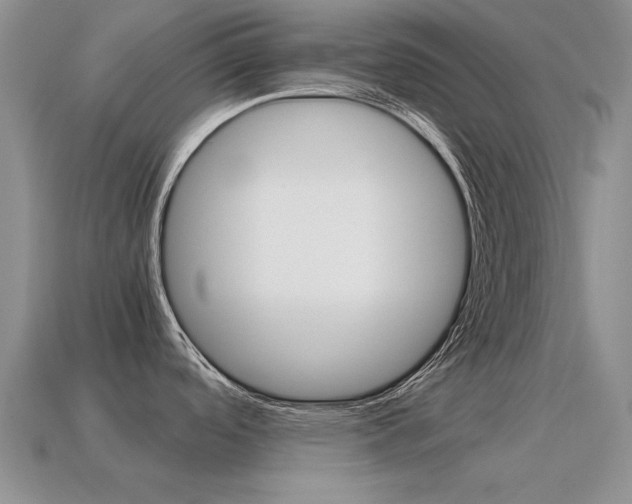 X0000115601488200911100941
