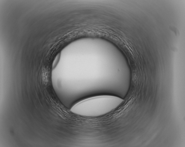 X0000115601490200911100941