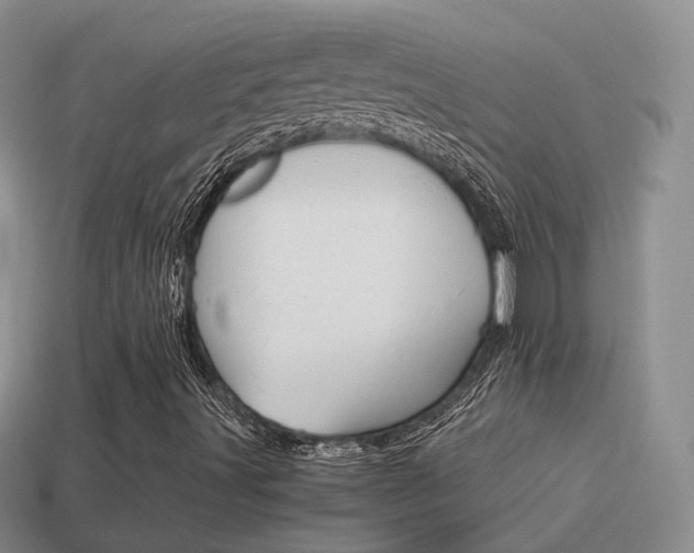 X0000115601491200911100941