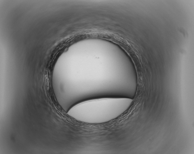X0000115601493200911100941
