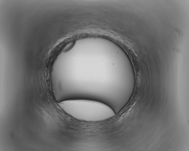 X0000115601494200911100941