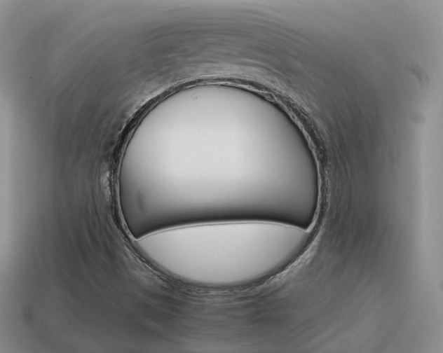 X0000115601497200911100941