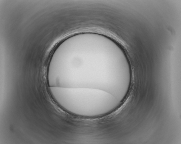 X0000115601498200911100941