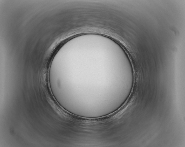 X0000115601499200911100941