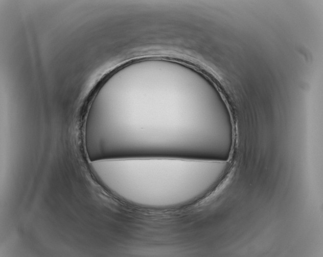 X0000115601501200911100941