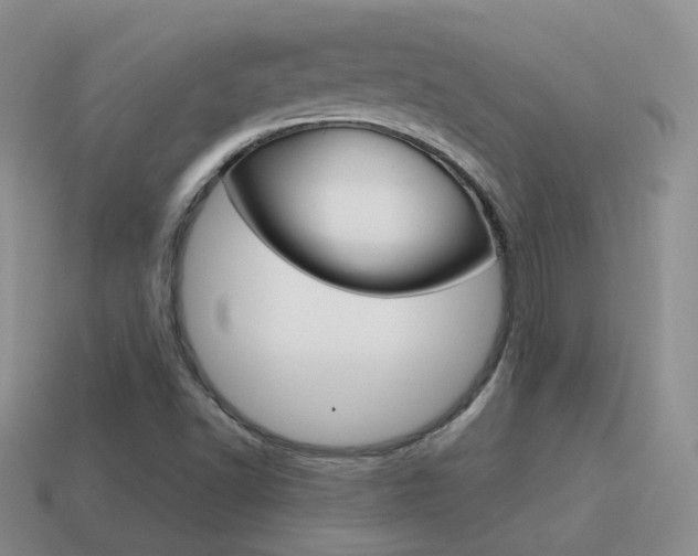 X0000115601502200911100941