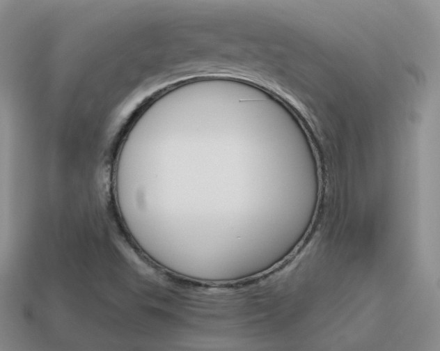 X0000115601503200911100941