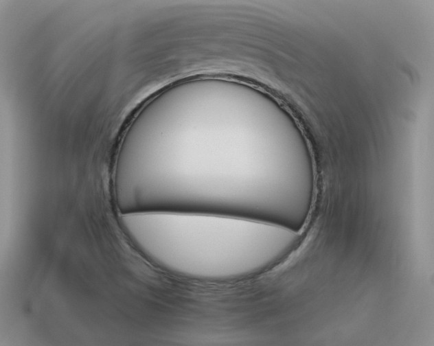 X0000115601505200911100941
