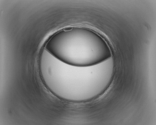 X0000115601506200911100941