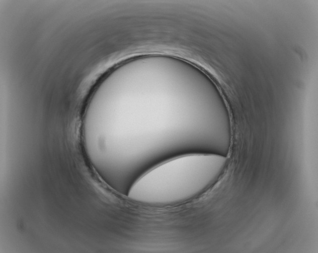 X0000115601507200911100941