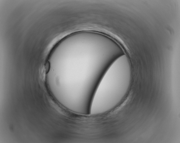 X0000115601509200911100941
