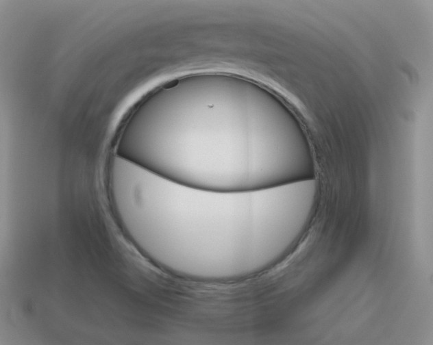X0000115601510200911100941